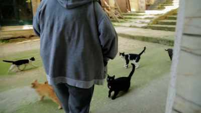 This is our daily routine,
seven days a week, including Sundays. - Kedi
