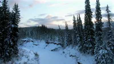 This is our life
out here and, um, - Life Below Zero: Next Generation