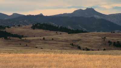"This is our sacred place.
You can't be here. - The American Buffalo