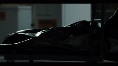 ♪ ♪ ♪ ♪ - This oven will incinerate a horse in an hour. - Yellowstone