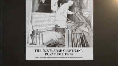This pamphlet from the seventies claimed - Pignorant