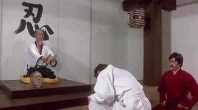 This parchment is your diploma
as Master in Ninjitsu. - Enter the Ninja