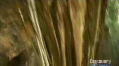 This part is difficult because it is
here where the roots grew - Man vs. Wild