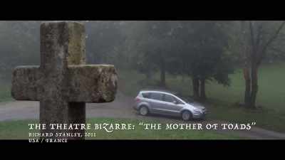 This particular spot - Woodlands Dark and Days Bewitched: A History of Folk Horror