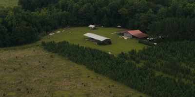 This past June, Alex Murdaugh
found his wife, Maggie, - Low Country: The Murdaugh Dynasty