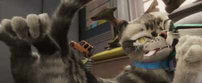 This is Pedro, an
alley cat who Dad, - Gracie & Pedro: Pets to the Rescue