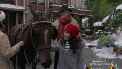 This is perfect. - A Blue Ridge Mountain Christmas