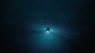 This is perhaps the largest
living organism on Earth. - Cosmos: Possible Worlds