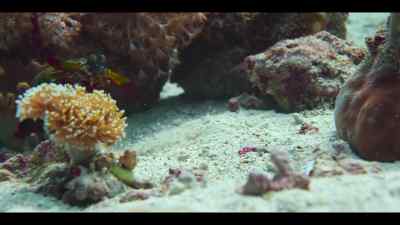 This piece looks just right. - Our Oceans