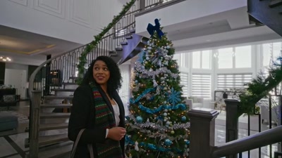 This place could give
Martha Stewart - Sappy Holiday