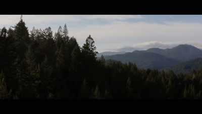 This place is fucked
up beyond belief. - Sasquatch