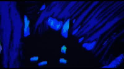This place is too hot for a pickup. - Predator
