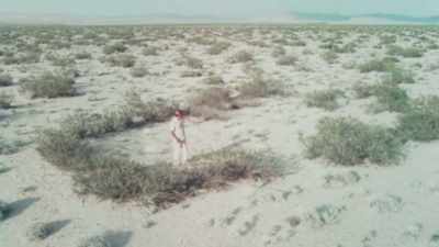 This plant started growing between
10,000 and 12,000 years ago. - The Green Planet