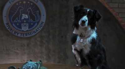 This plot is devastating
to both cats and dogs. - Cats & Dogs 3: Paws Unite