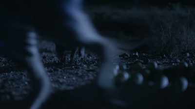 This predator is also a thief. - Prehistoric Planet