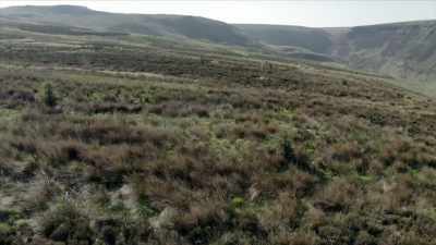 This programme contains
graphic descriptions of murder - Moors Murders