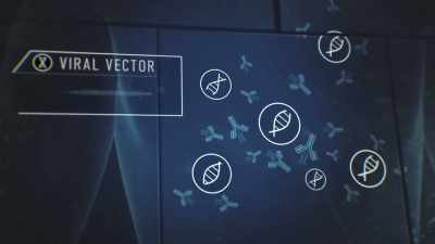 This prompts your immune
system to produce antibodies - The Vaccine: Conquering COVID
