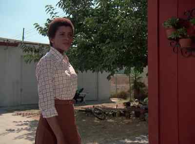 This is quite a surprise.
I didn't expect you. - The Six Million Dollar Man
