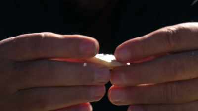 This rare fossilised yellow
shell from Shell Patch, - Outback Opal Hunters