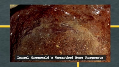 This is really
compelling evidence that - FBI TRUE
