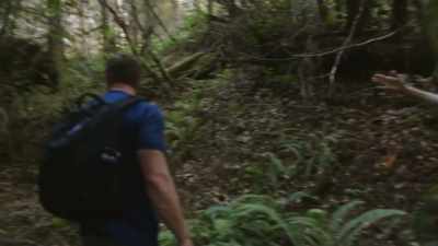 This is really important
because these areas tend - Expedition Bigfoot