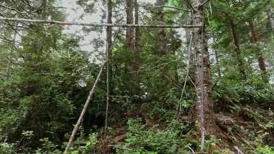 This reminds me
of that tree structure we saw - Expedition Bigfoot