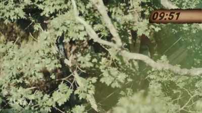 This reminds me of some - Snake in the Grass
