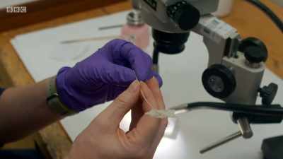 This requires
a more surprising method. - Secrets of the Museum