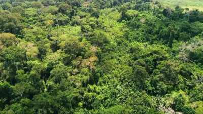 THIS REVELATION SHEDS
CRUCIAL LIGHT - Lost Cities of the Amazon