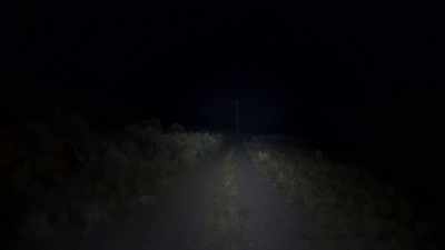 This is right
about the time that - Horror in the High Desert 2: Minerva