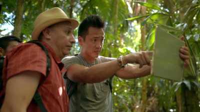 This rise,
these two little points - Lost Treasures of the Maya