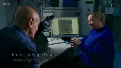 This RNA is read
by the cellular machinery - Secrets of Size: Atoms to Supergalaxies