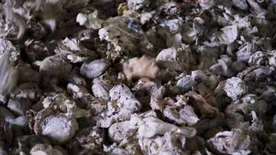 This rubber factory is
owned by Robert Meyer. - This Giant Beast That is the Global Economy