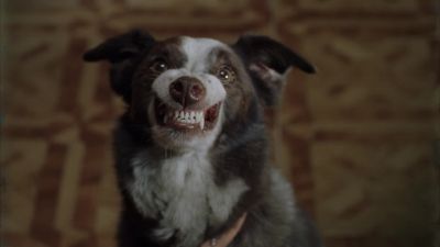 This is Sammy Davis Jr - Everything Is Illuminated