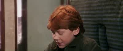 This is Scabbers.Pathetic, isn't he? - Harry Potter and the Philosopher's Stone