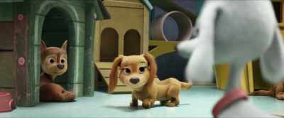 This scrawny little purse pup
is going to pull a jailbreak? - PAW Patrol: The Movie