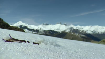 This season is enough
to put a very big smile - A Year on Planet Earth