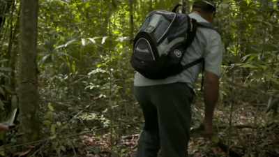 This season,
with the new treasure map, - Lost Treasures of the Maya