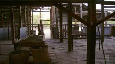 This was shearing
on an industrial scale. - Aussie Inventions That Changed The World