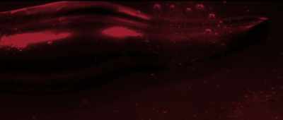 This should never stop.
Tonight should last forever. - Let the Corpses Tan