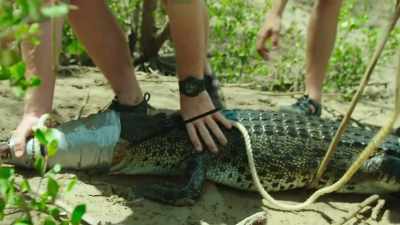 This size is a problem, but not just
to kids, also to some adults. - Modern Dinosaurs