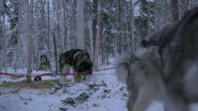 This sled is gonna
need a field repair, - Life Below Zero: Next Generation
