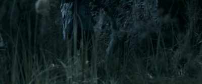 This is Small Bamboo Peak
forbidden to me. - Jade Dynasty