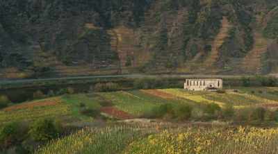 This soil gives a special taste
to the wine. - World's Most Scenic River Journeys