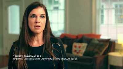 This is something that is
only done by roadside zoos... - Trafficked with Mariana van Zeller