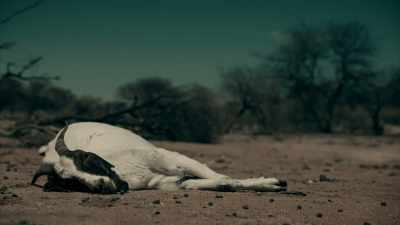 THIS SOUNDS MORE LIKE
A VAMPIRE STORY. - Expedition Mungo