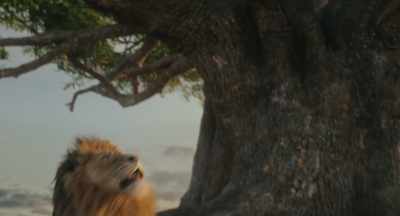 This stray is forbidden
to be near the Shade Tree. - Mufasa: The Lion King