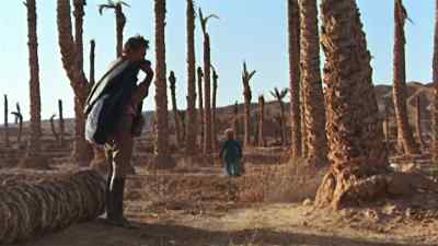 This is suicide,
don't you understand? Suicide. - The Little Prince