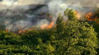 This summer, wild fires are keeping
Welsh firefighters busier - Wales: Land of the Wild