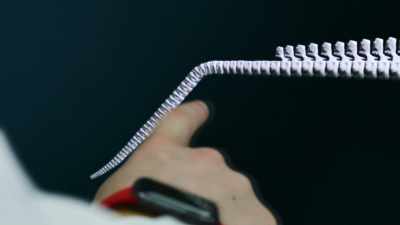 This is supported
by the backbone, - Attenborough and the Sea Dragon